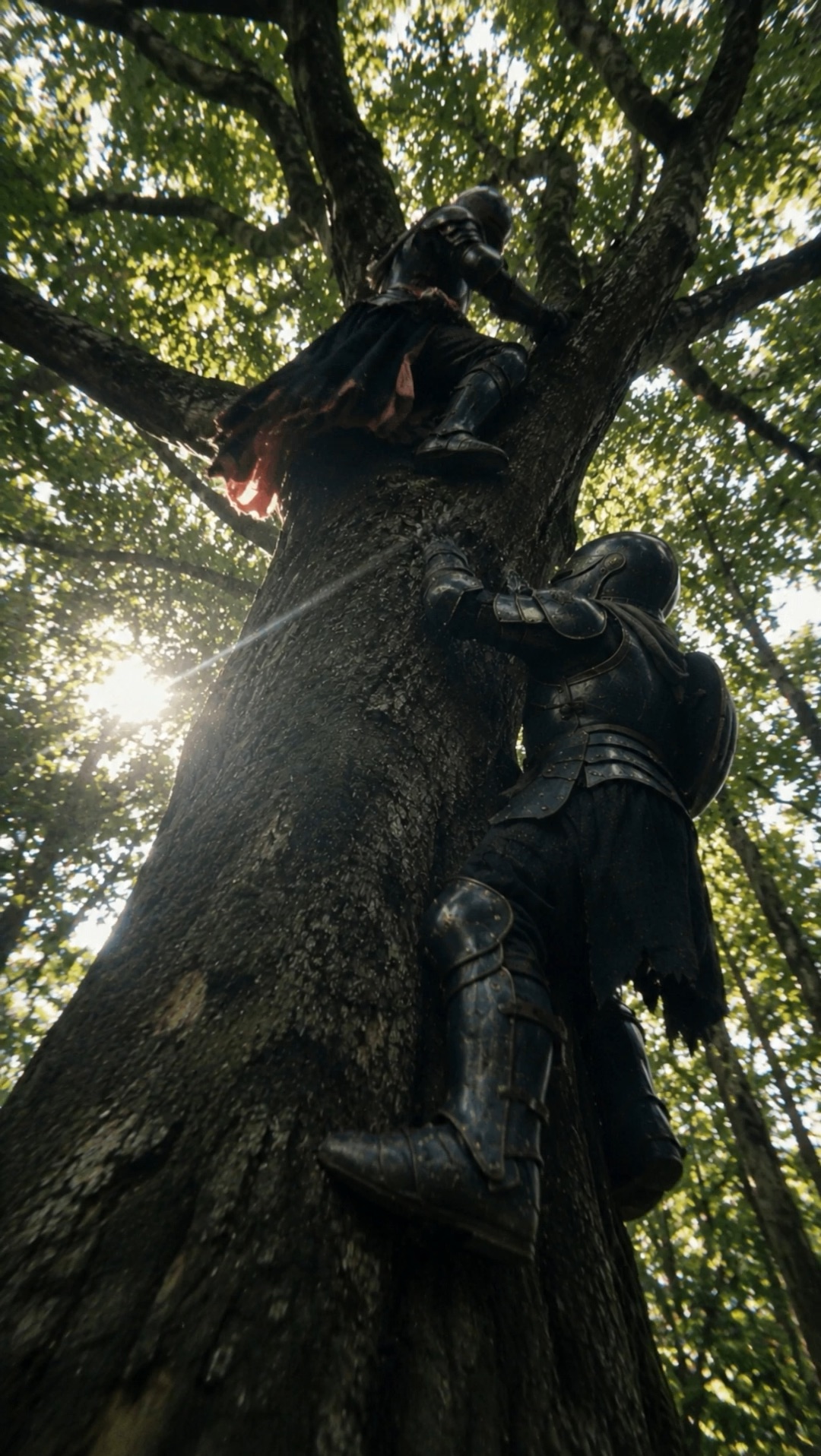 Start frame: looking up the tree